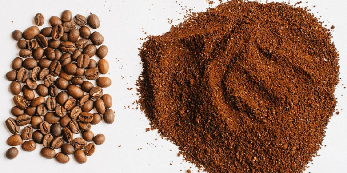 Tajemství vaší kuchyně: Kávová sedlina a sirka ochrání před komáry - image 1