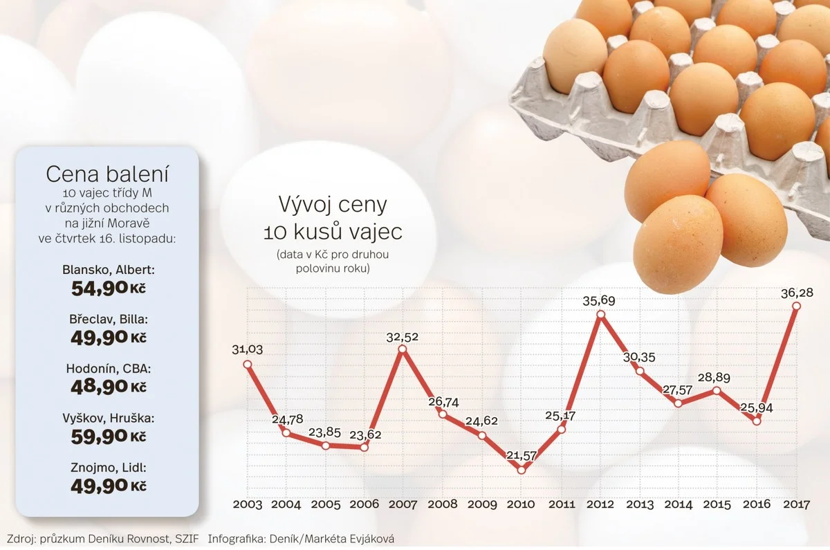 Proč jsou vajíčka drahá? Skrytý rozdíl, který výrobci nechtějí, abyste věděli. - image 1