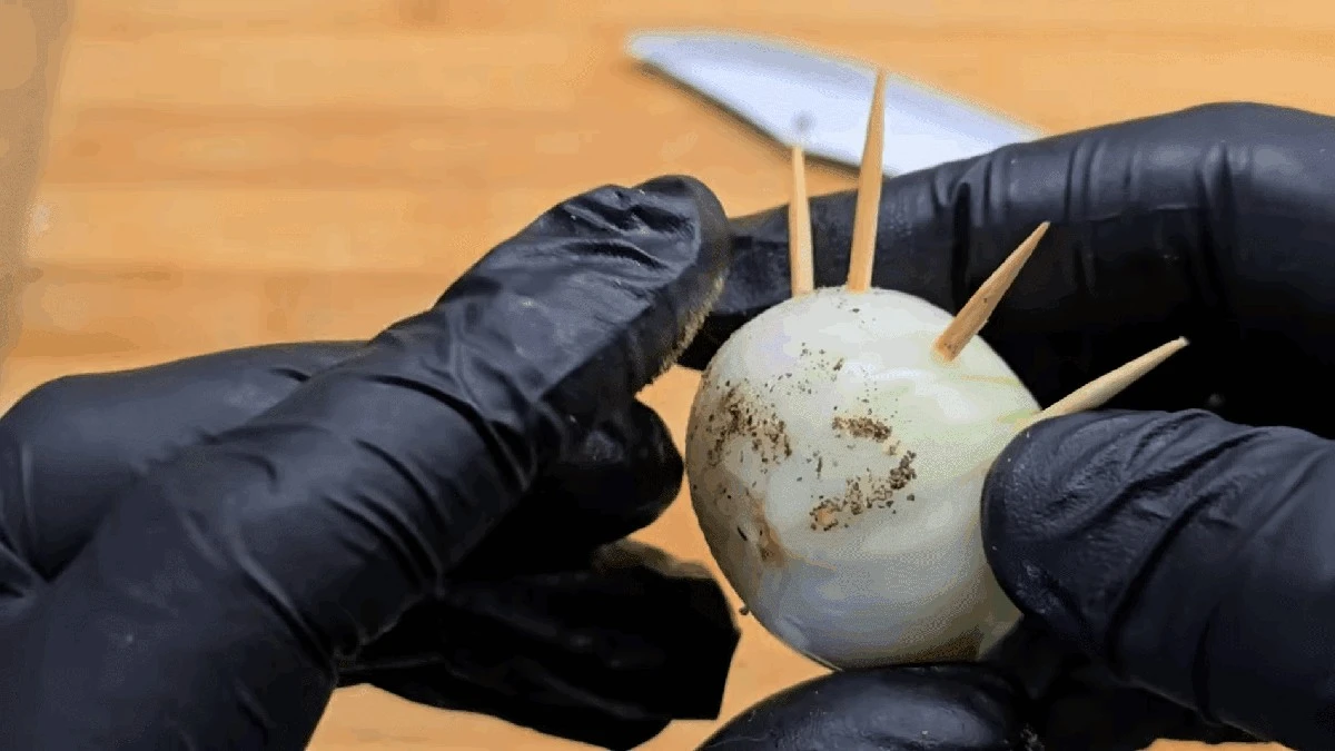 Už žádné plýtvání: Jak párátka udržují citron, okurku a klobásu čerstvější o 300 %