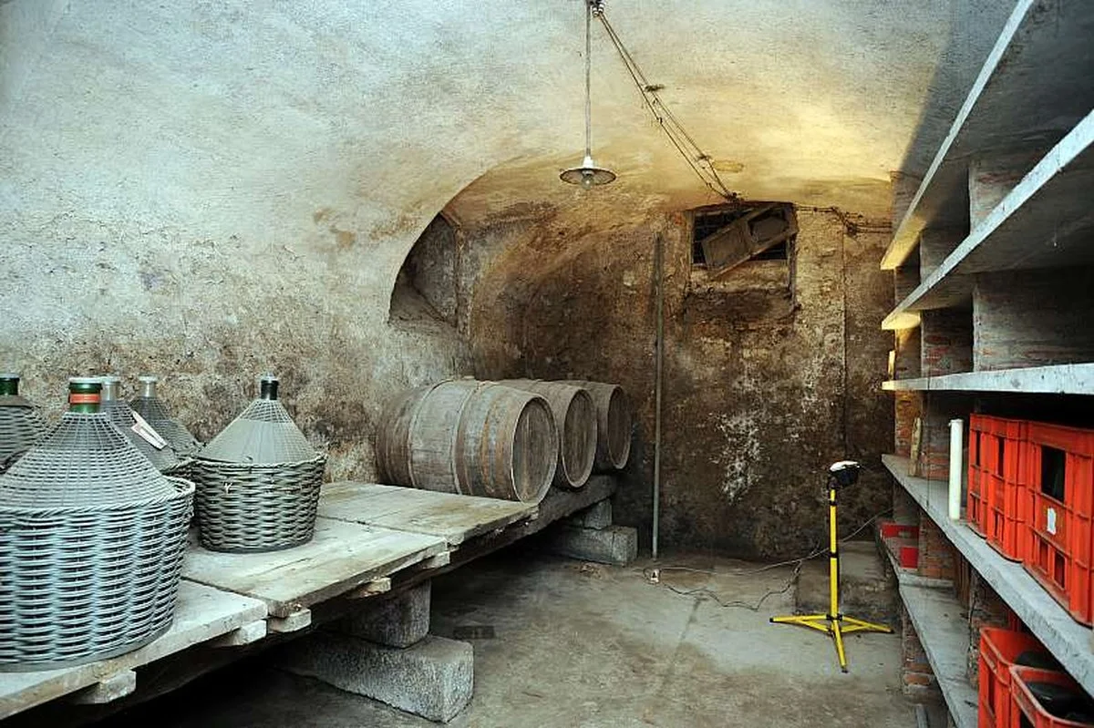 doslovamvzimekp-extra-1.webp Došlo vám v zimě k problému s kondenzátem v sklepě? Děda soused prozradil snadné řešení - image 1