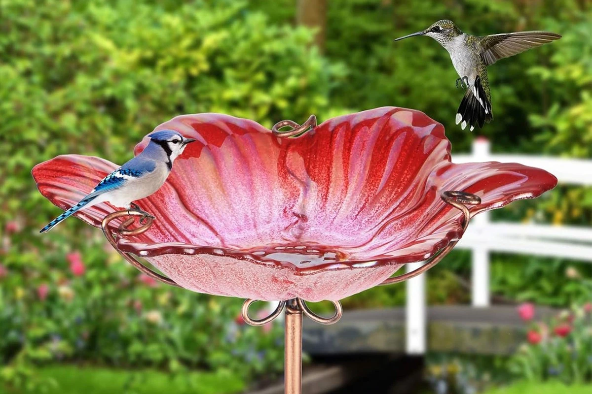 Skleněná ptačí lázeň na Amazonu připomíná obří květinu, vaši zahradu promění