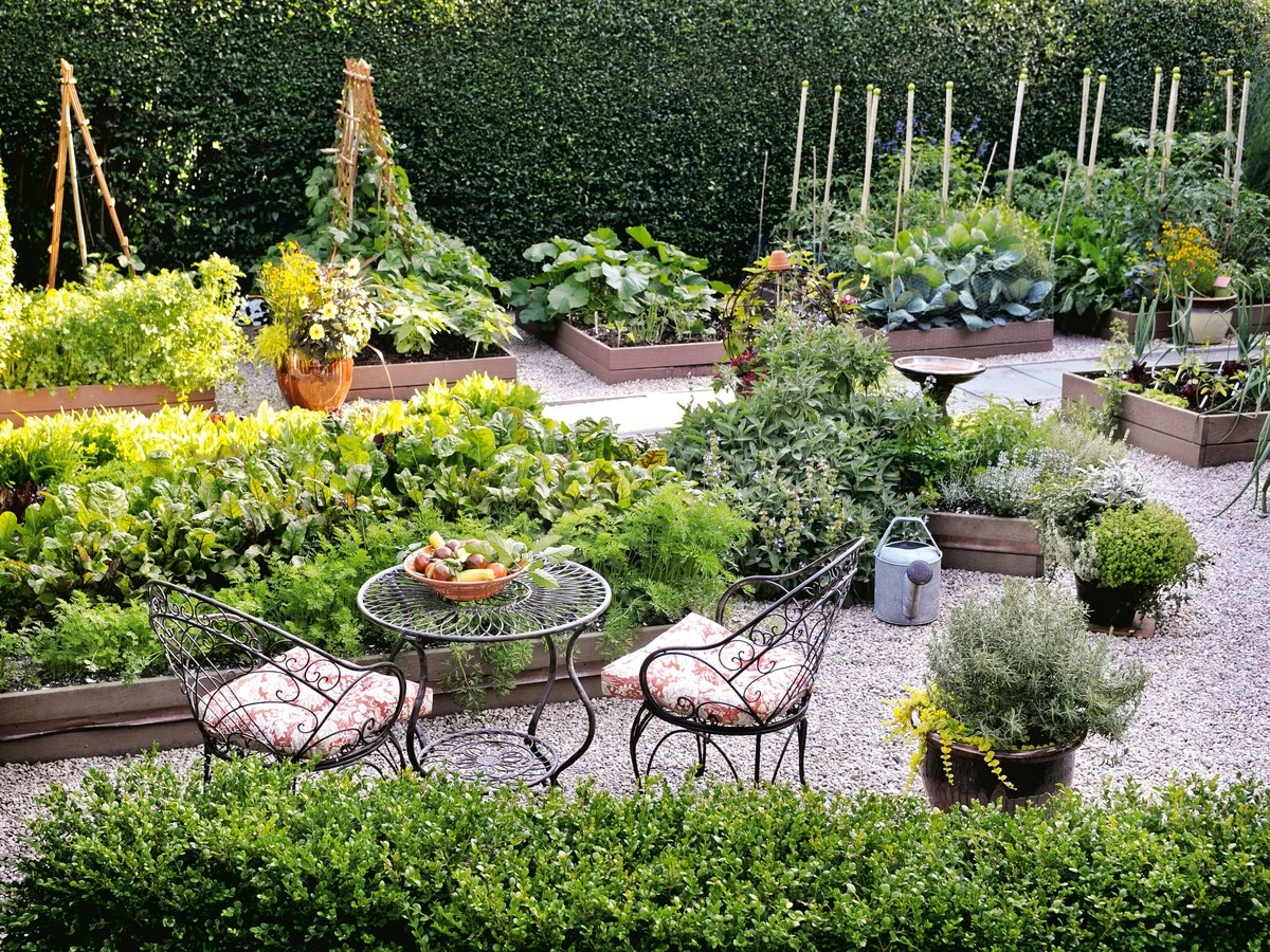 10 zeleniny, které se skvěle daří v vyvýšených záhonech