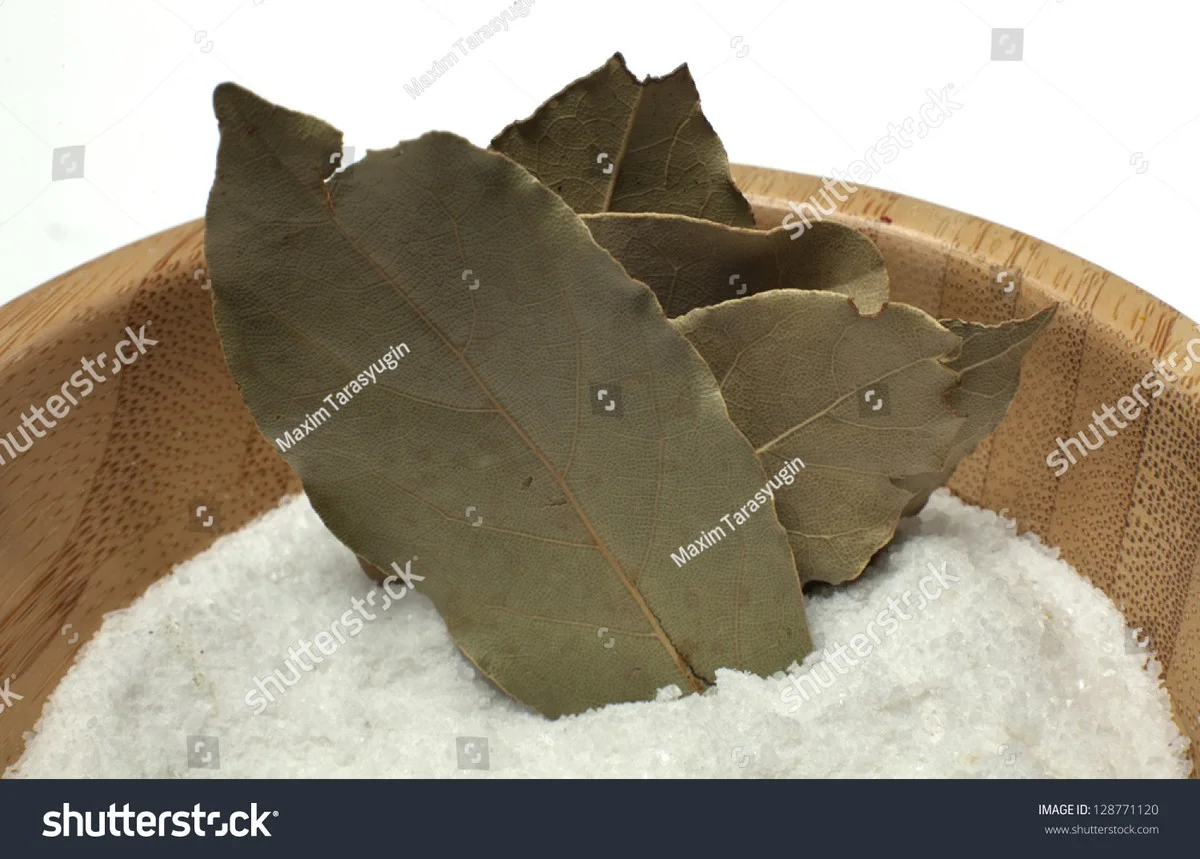 Proč zkušení Češi dávají sůl a bobkový list na okenní parapet během zimy - image 1