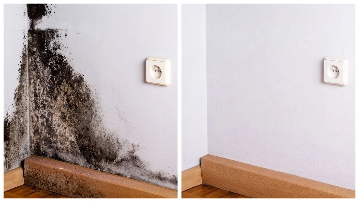 Cítíte plíseň za nábytkem? Tajný roztok ji odstraní bez chemie a zápachu
