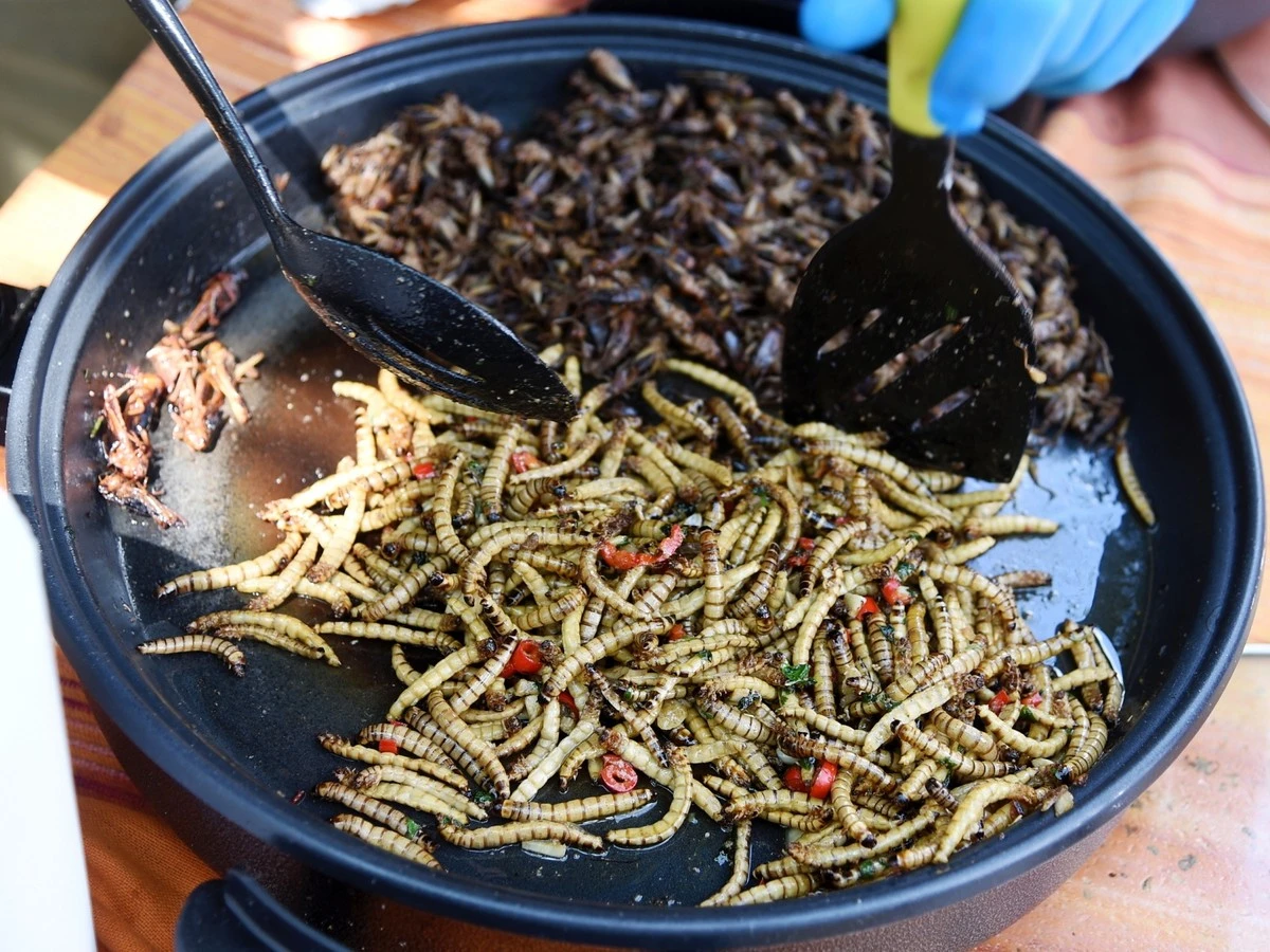 Proč zkušené hospodyňky dávají 7 bobkových listů do skříně s potravinami - image 2