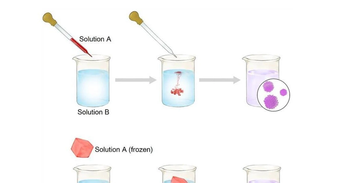 Proč zahradníci dávají houbičku na dno květináče. - image 2