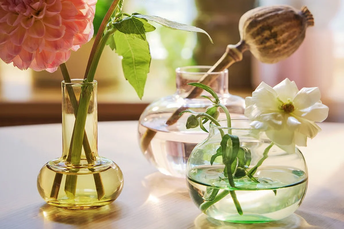 IKEA kolekce pro pěstování rostlin i v zimě: Váš domov zazelená bez námahy