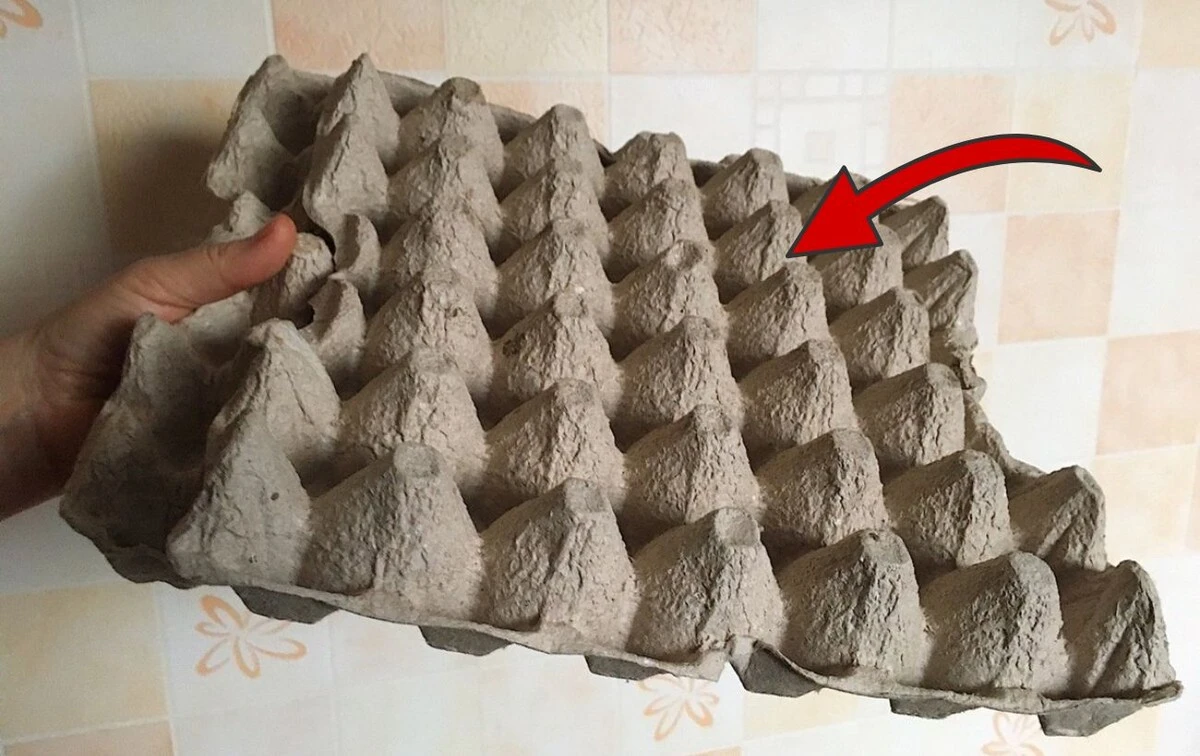 Забудьте про яєчні лотки: 3 способи, як вони врятують ваш будинок від безладу