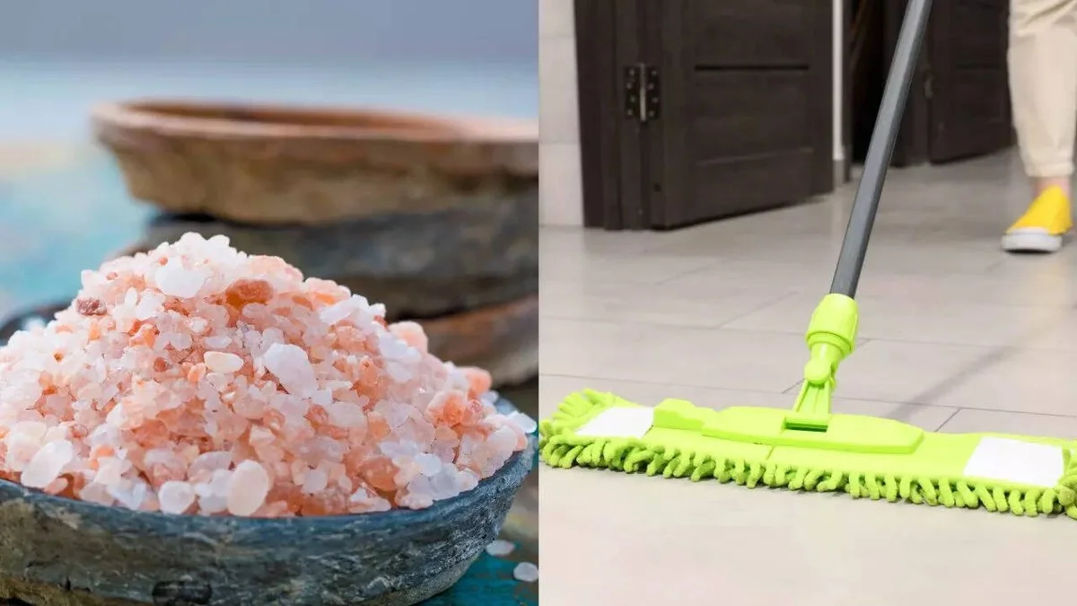 procsevceskuuti-extra-1.webp Proč se v Česku utírá sůl na klikách dveří a v rozích skříně těsně před Vánoci - image 1