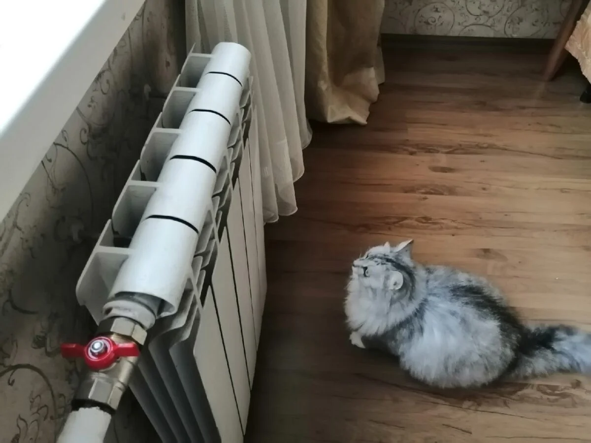 Proč zkušení Češi dávají za radiátor kus alobalu: Zvýší teplotu o dva stupně, ušetříte tisíce