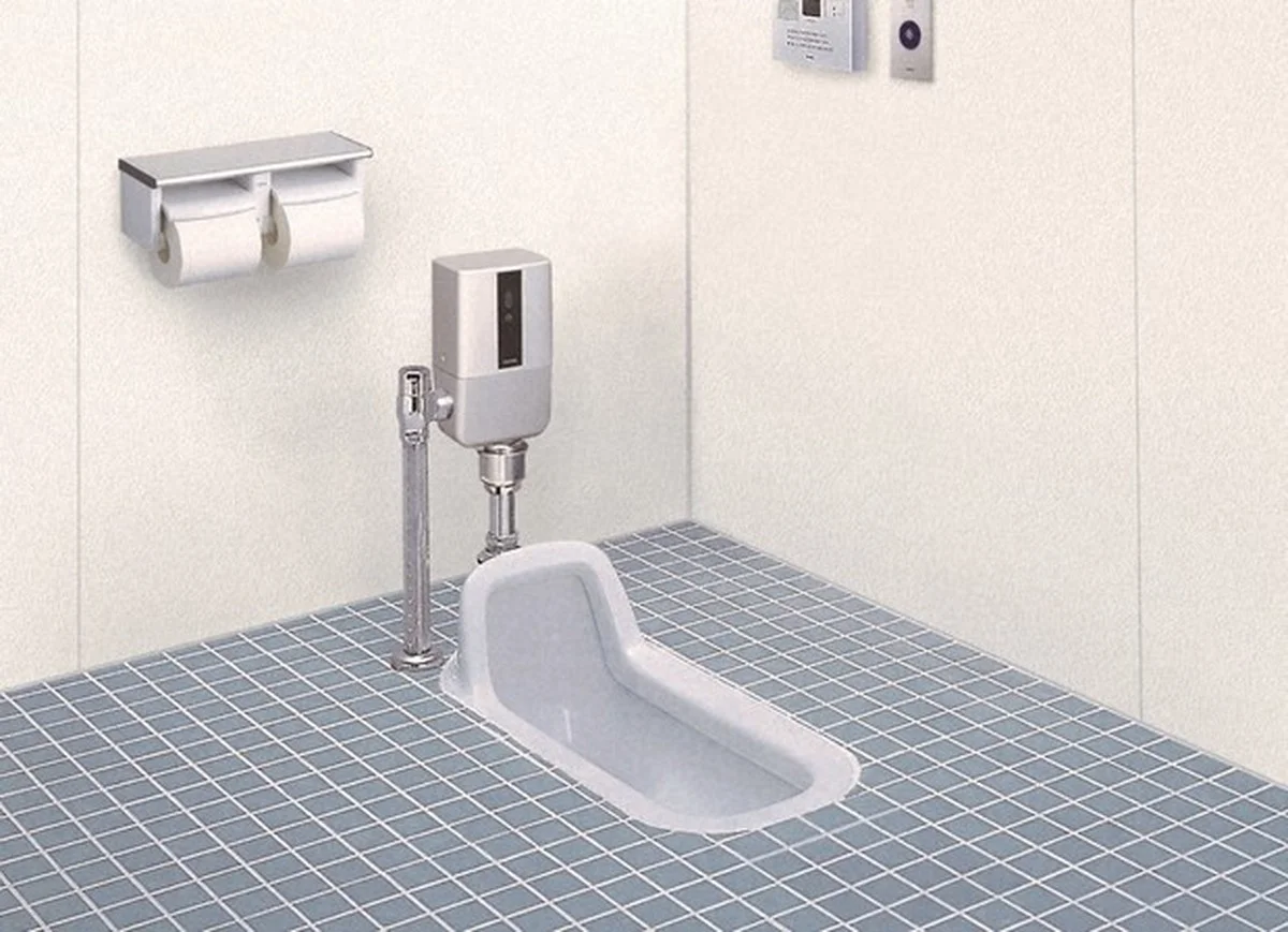 Proč Japonci sedají na toaletu obráceně? Důvod není jen hygienický, ale i zdravotní - image 1