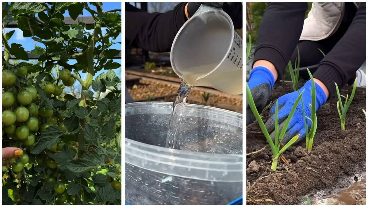 2 dny v dubnu, kdy se na zahradě nic nesází: Zvládnete to bez nich, ale zbytečně riskujete