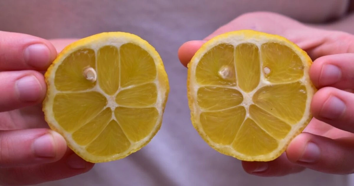 10 hřebíčků v citronu: trik pro provonění domova - image 1