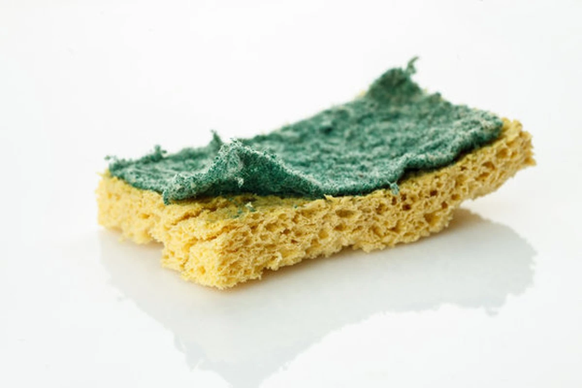 Proč po 3 dnech vyhazuji houbičky na nádobí, i když vypadají jako nové: mikrobiologové varují před riziky - image 2