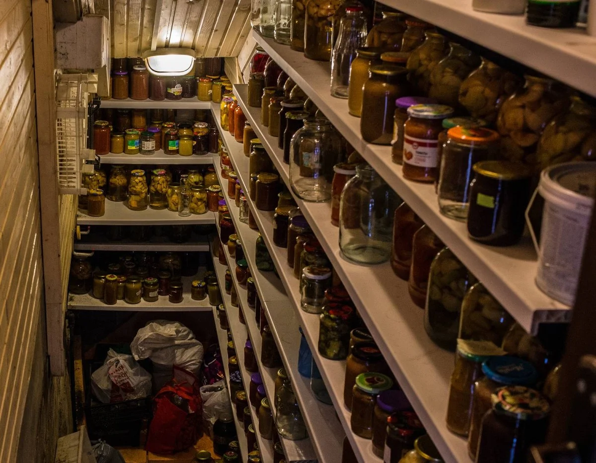 Proč zkušení zahrádkáři nikdy nevyhazují kartony od vajec: Tři využití, která prodlouží zelenině život - image 2