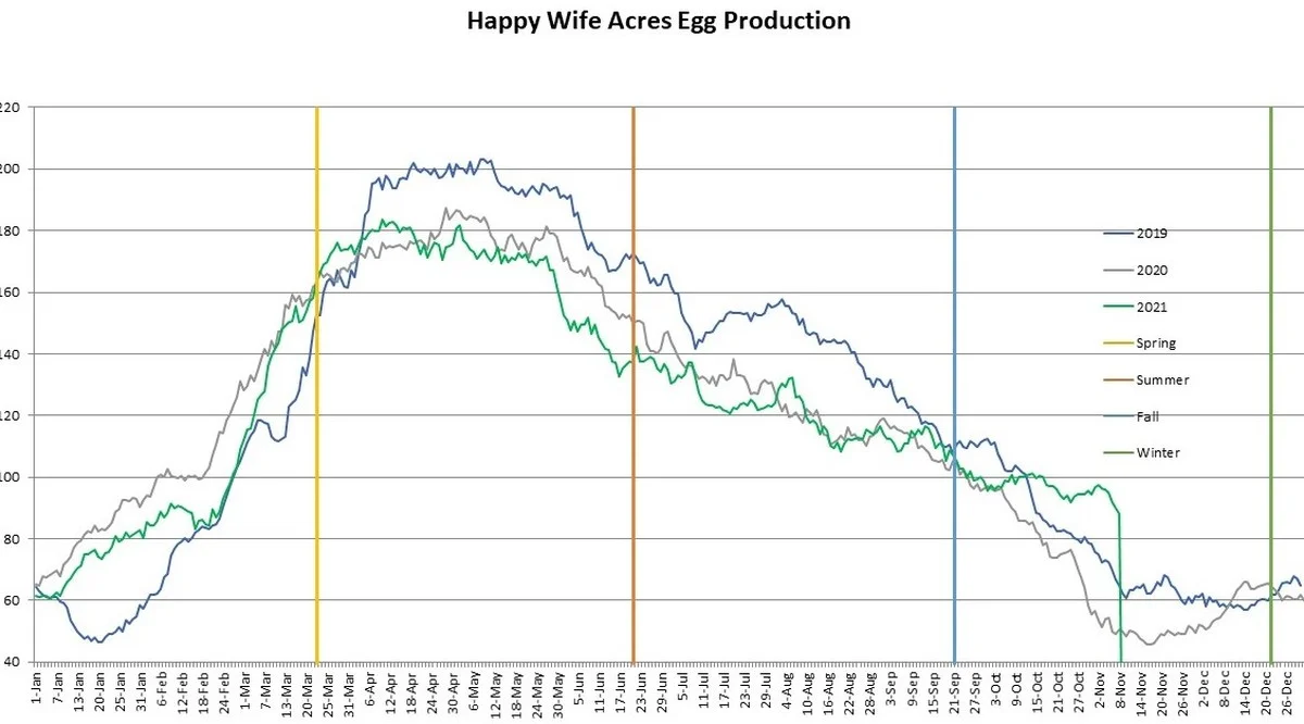 Malý prášek proti zimní neplodnosti: Jak jeden gram síry zdvojnásobí snášku a zlepší chuť vajíčka - image 1