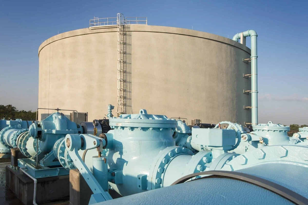 Proč vaše zásoby vody vydrží měsíce bez zelenání: jen 1 stříbrná mince - image 1