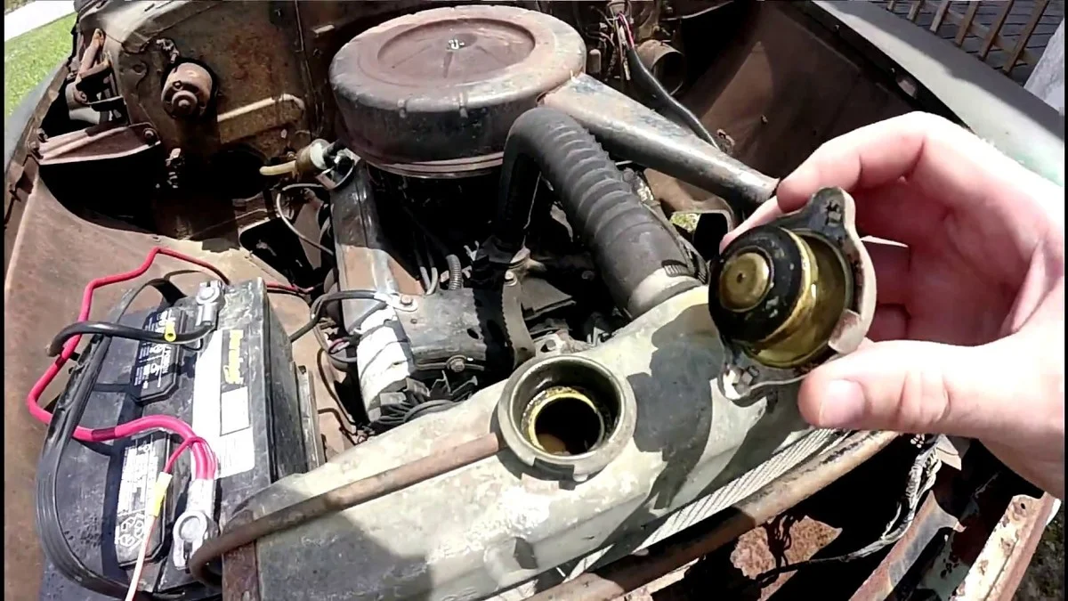 Proč dávám tři bobkové listy na topení a dva pod polštář: Nejlepší trik na ovzduší v domě - image 2