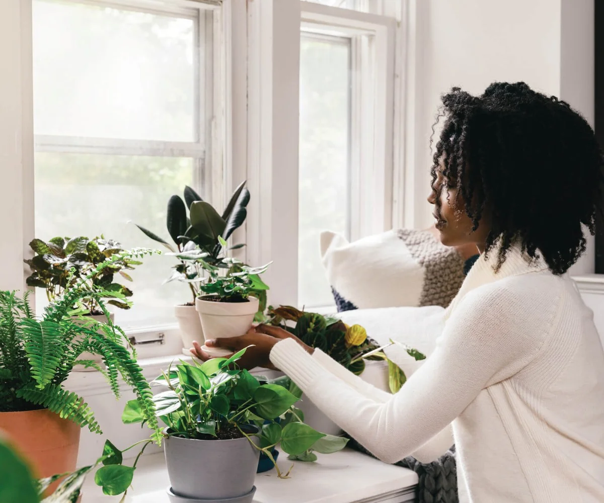 Proč zkušení zahradníci v zimě nikdy nezalévají rostliny studenou vodou - image 1