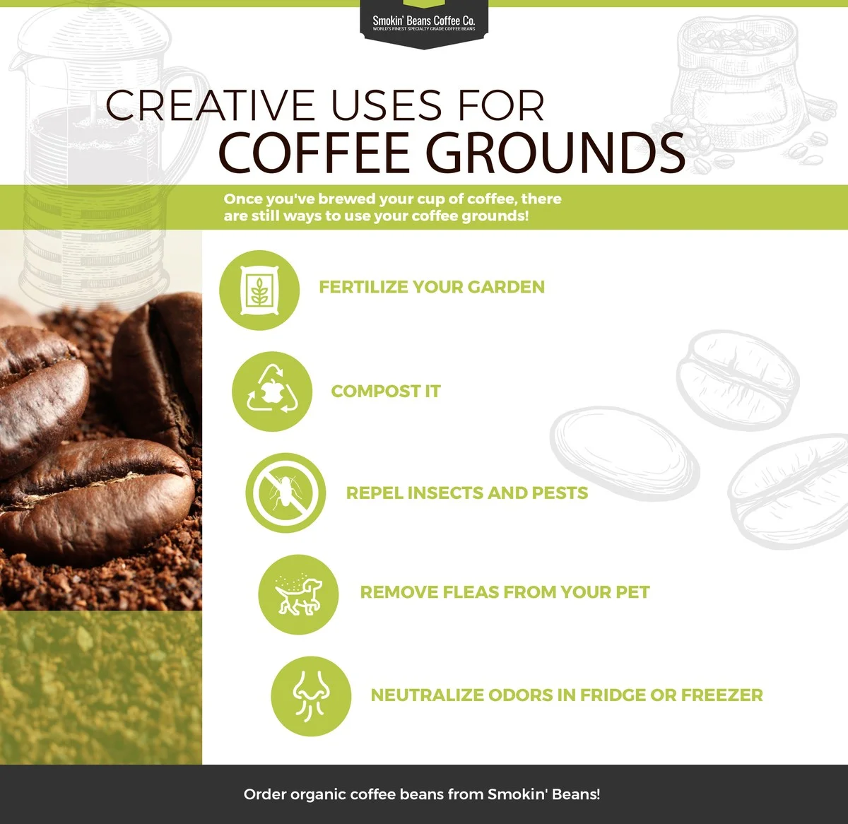 Tři důvody, proč zkušení Češi nikdy nevyhodí kávovou sedlinu (zahrada a domácnost) - image 1