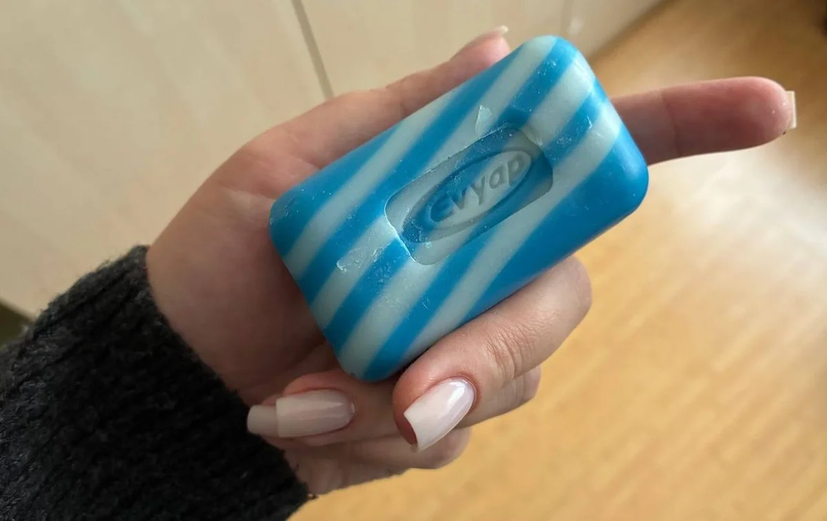 Proč zkušené hospodyňky skladují kus mýdla v mrazáku: Trik, o kterém se v obchodech mlčí