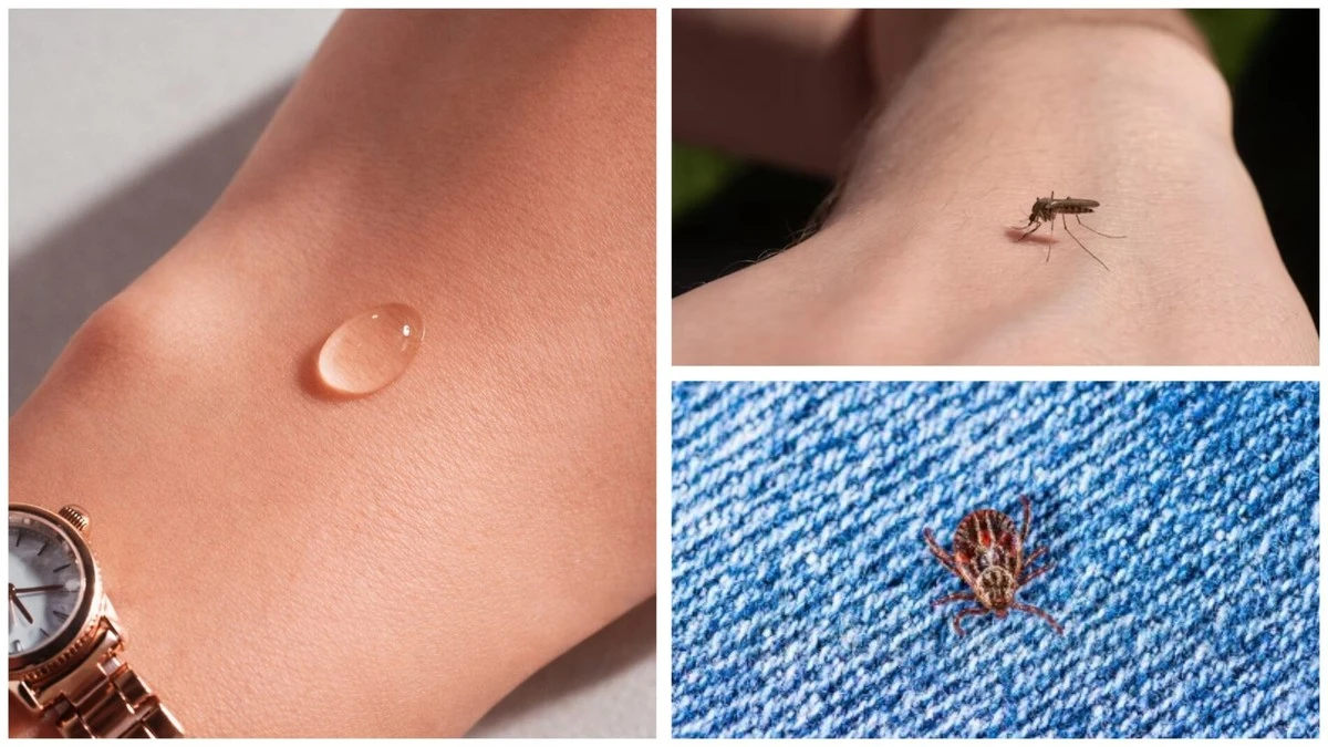 Konec svědění: 2 kapky na oblečení a klíšťata i komáři se vám vyhnou