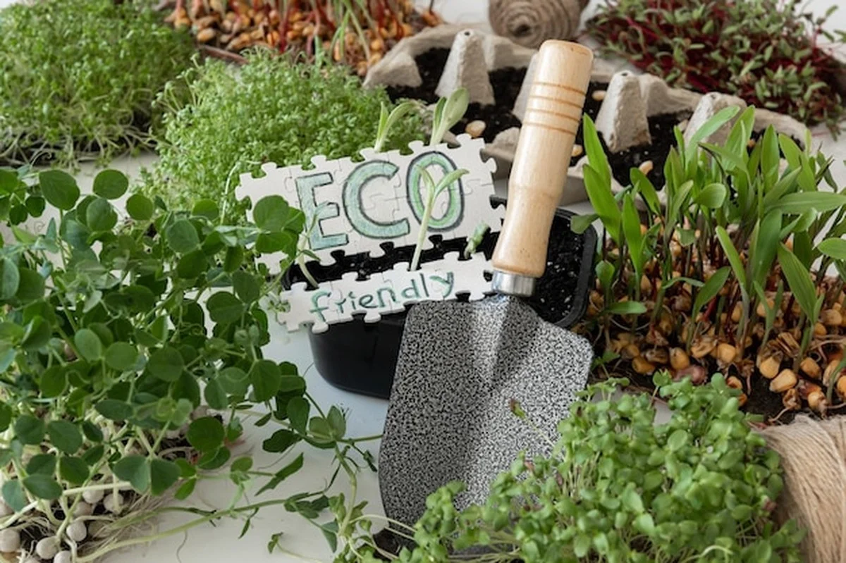 Nový trik na zalévání květin, který funguje i v největších vedrech a ušetří vám čas - image 2