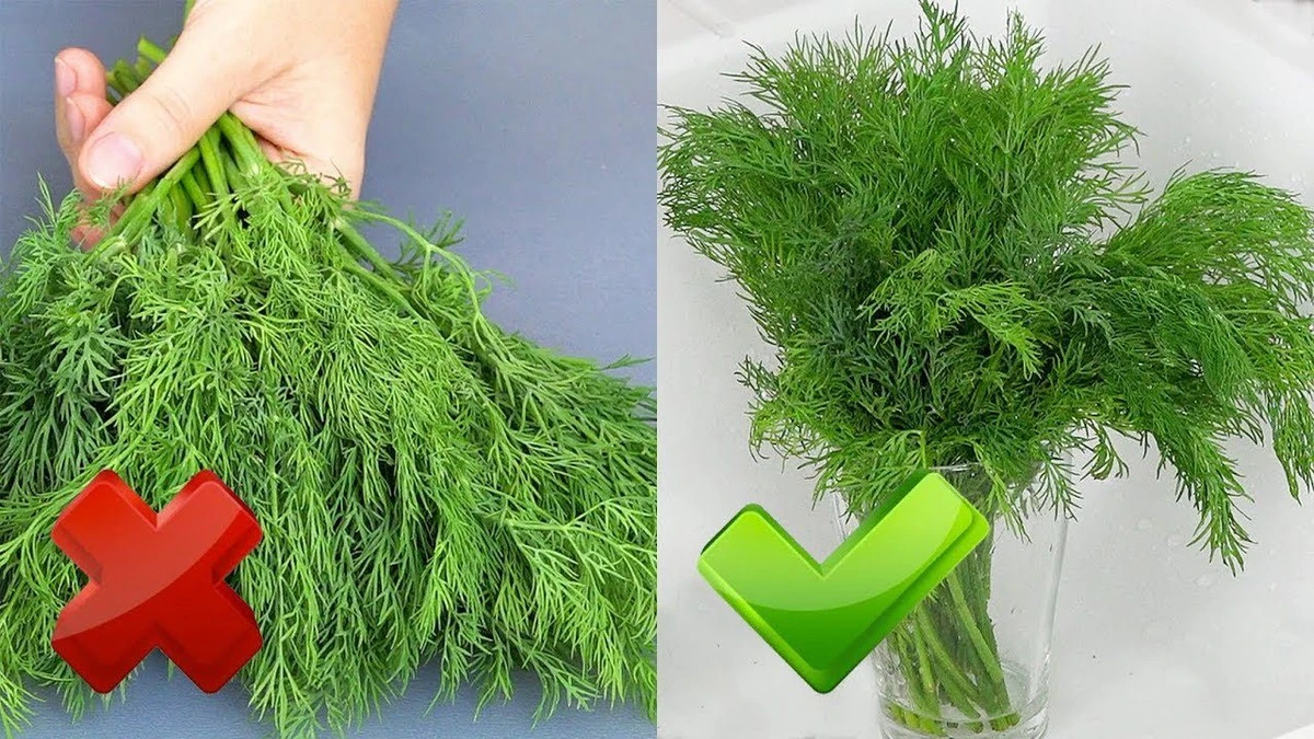 Prodloužení svěžesti bylinek: Trik z restaurací pro vaši kuchyni