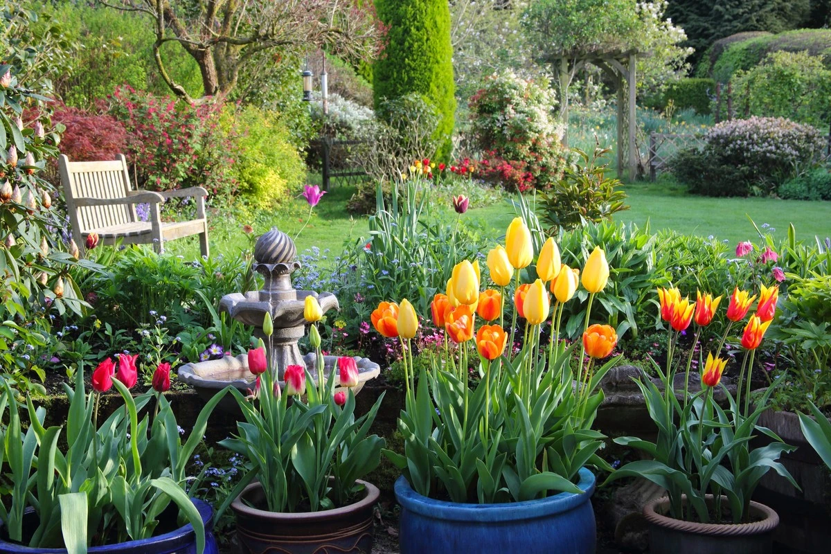 zapomnelijstena-extra-1.webp Zapomněli jste na podzim? Sázení tulipánů na jaře pro jarní květy - image 1