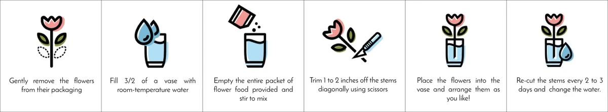 Jedna tableta z lékárničky prodlouží život tulipánům až o týden - image 2