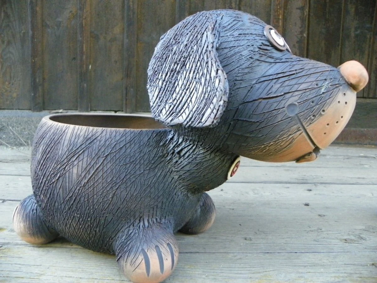 Jak vyrobit květináč z psí misky na vodu – chytrý trik pro váš byt i zahradu - image 1