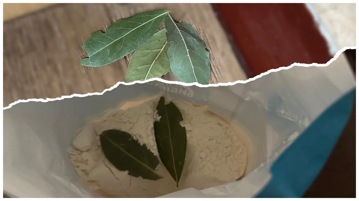 Proč se do mouky dává bobkový list a jak to souvisí s botami