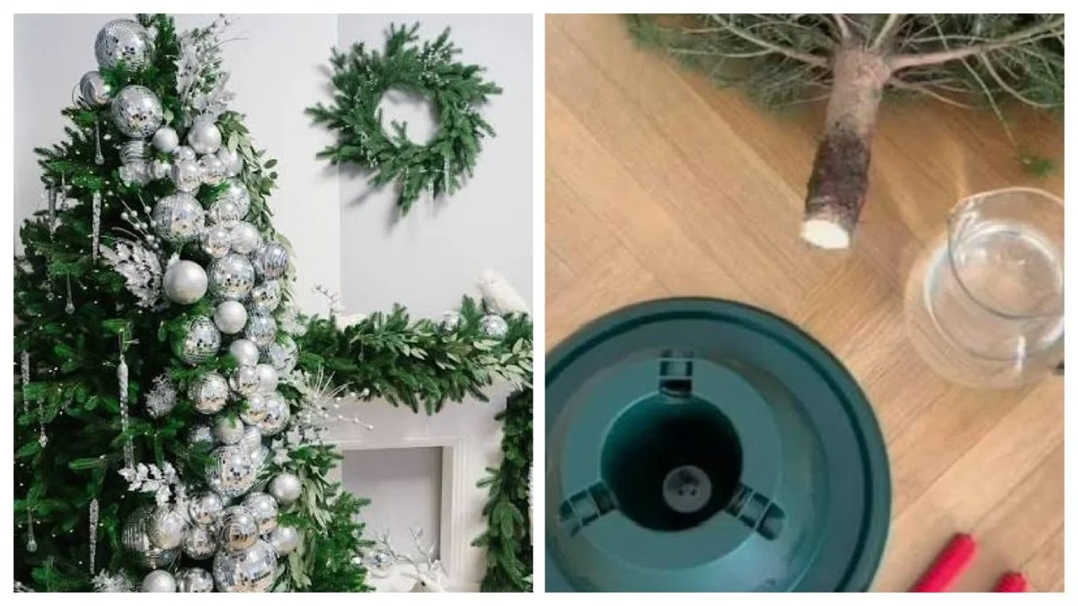 Proč zkušení Češi dávají jedličku místo stojanu do kbelíku a přidávají do vody jednu věc