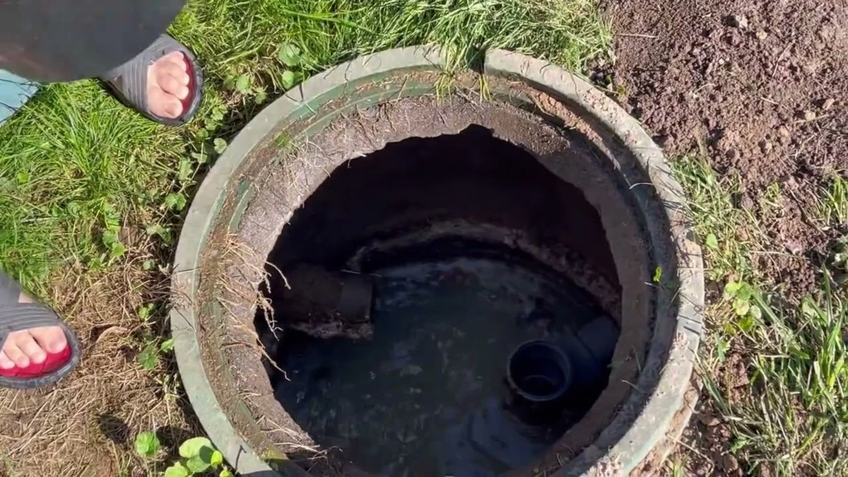 Tip pro majitele domů: Jedna houba do septiku ročně zařídí rok bez zápachu a čištění