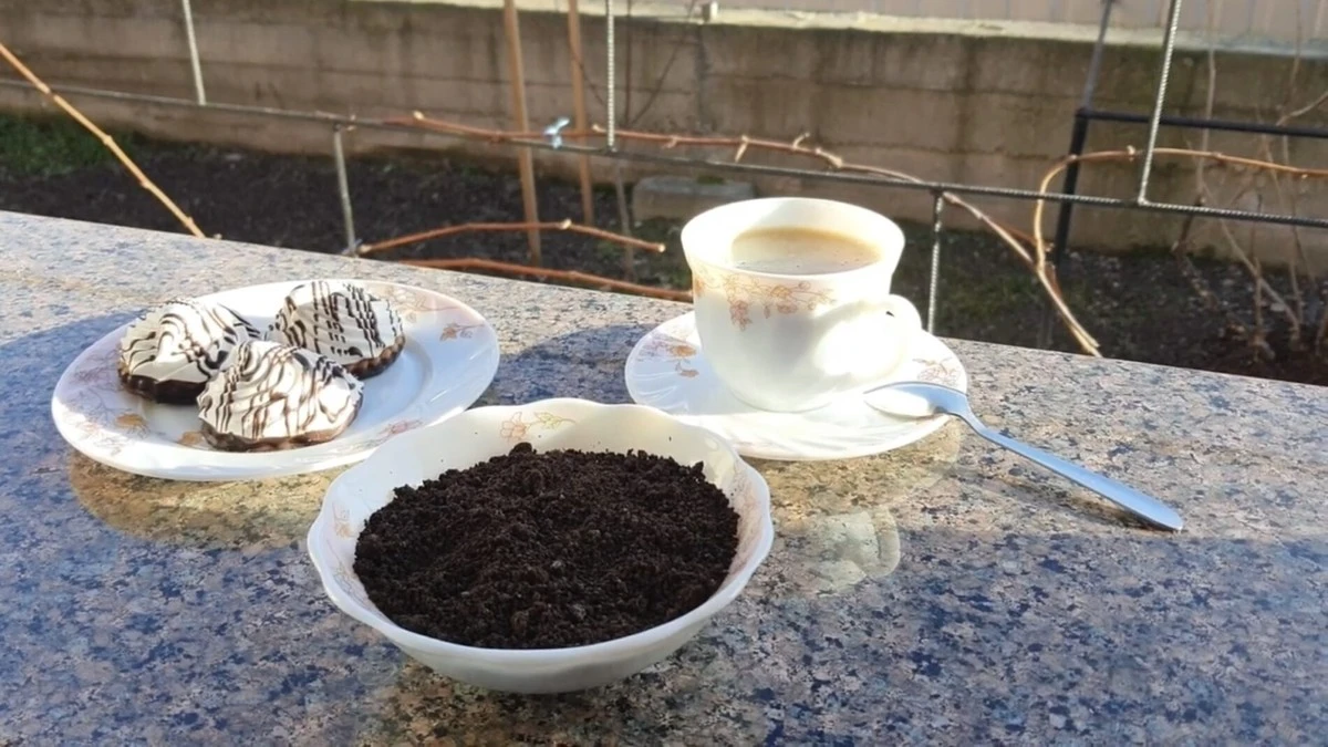 Забудьте про смітник: 5 несподіваних способів повторного використання кавової гущі