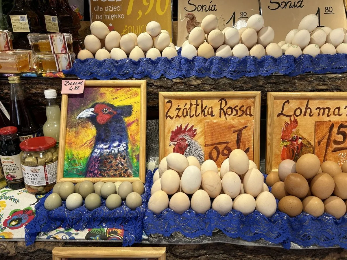 Proč jsou vajíčka drahá? Skrytý rozdíl, který výrobci nechtějí, abyste věděli. - image 2