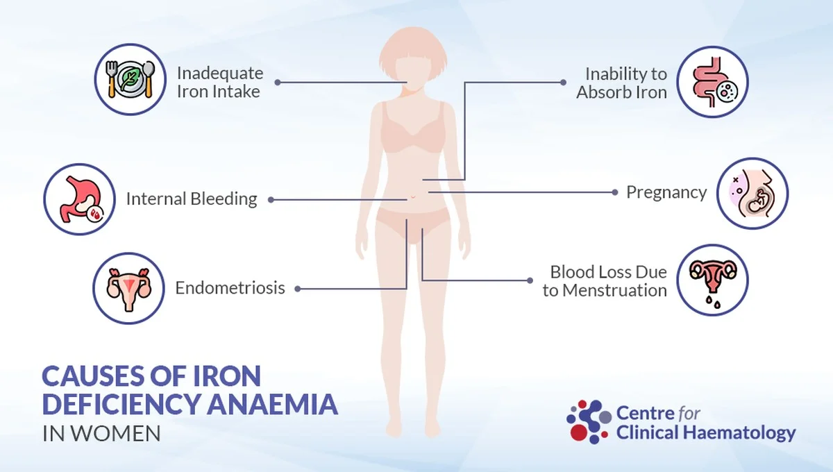 Co se stane s vaším tělem, když denně sníte jen jednu hrst fazolí: Překvapení i pro lékaře - image 1