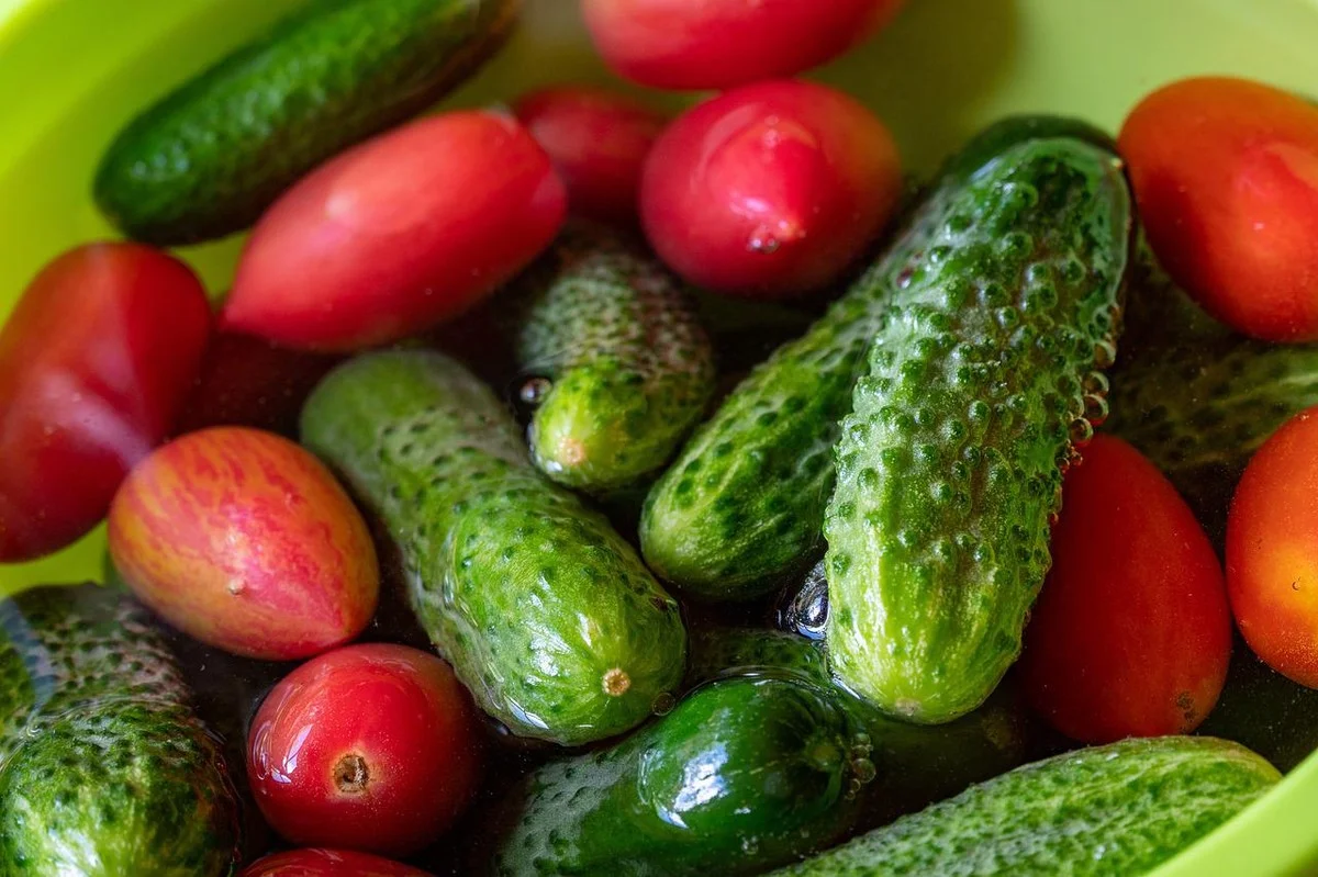 Proč zkušení kuchaři balí okurky a rajčata do papíru, než je dají do lednice