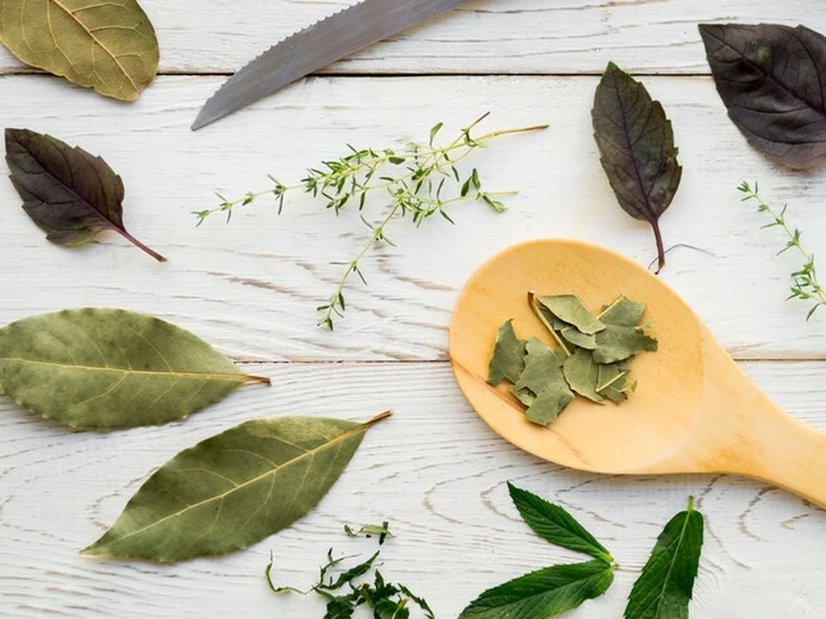 Proč se babské rady o bobkovém listu mohou změnit v nebezpečný problém, pokud to přeženete - image 1