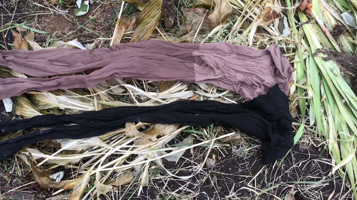 Staré punčocháče zahradní zahrada – skryté poklady z vaší skříně