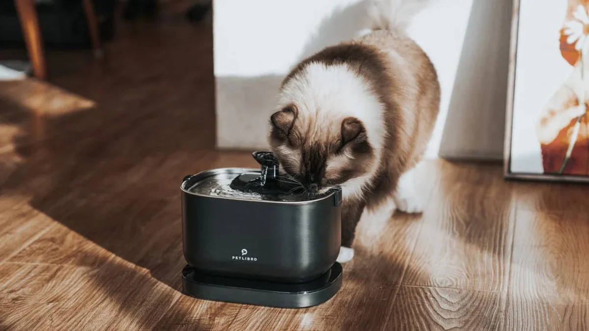 Proč zkušení zahrádkáři nedávají lahve s vodou, ale misky: Efekt zmizí za jedinou noc - image 2