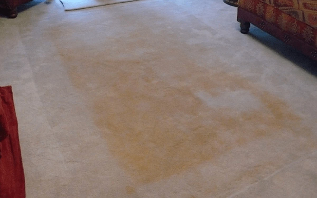 Proč zkušené hospodyňky dávají balzám na rty na koberec - image 1