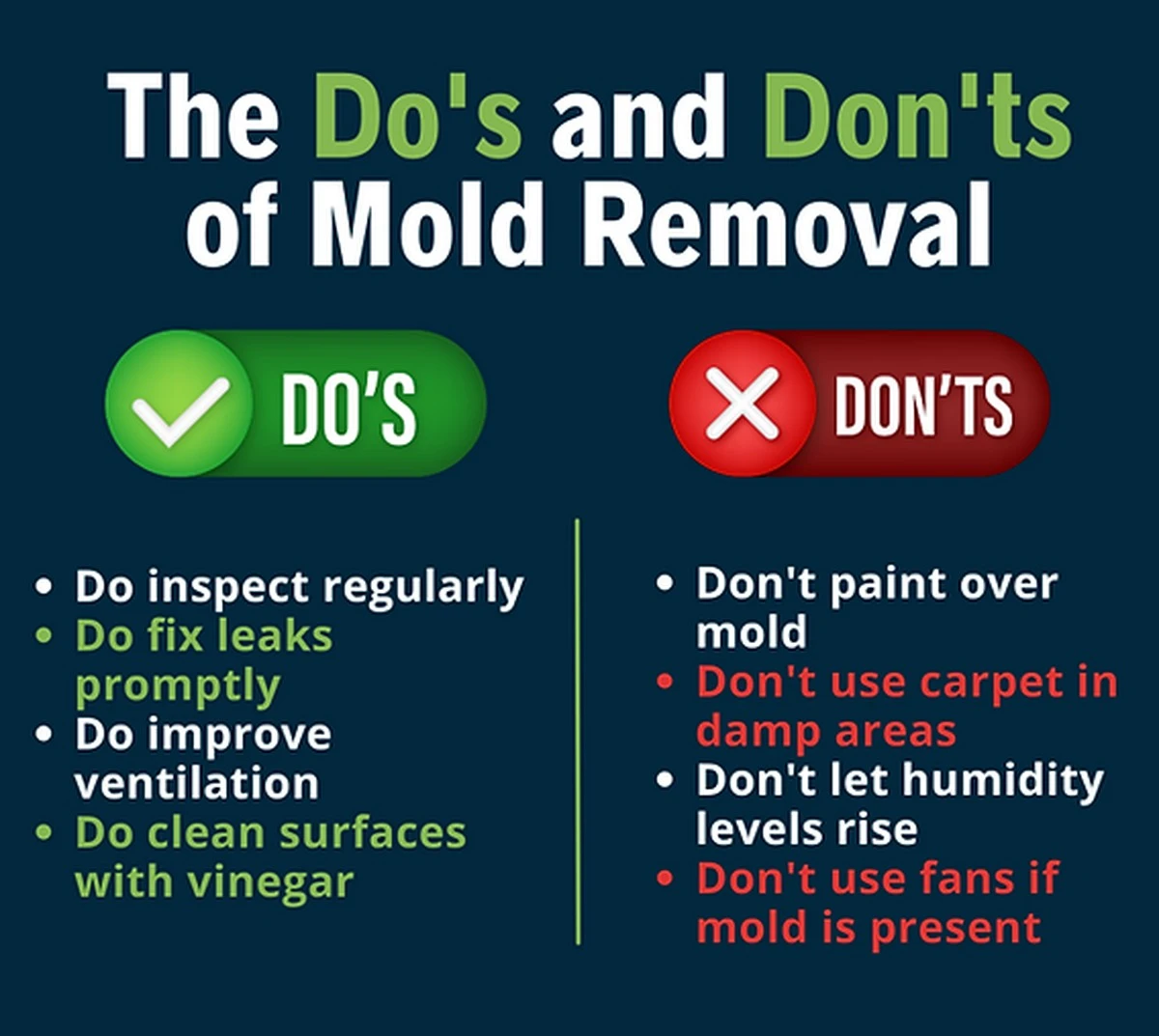 Plíseň se vrací, i když nettoyage vypadá důkladně? Znáte 3 skryté chyby, kvůli kterým nikdy nezmizí - image 1