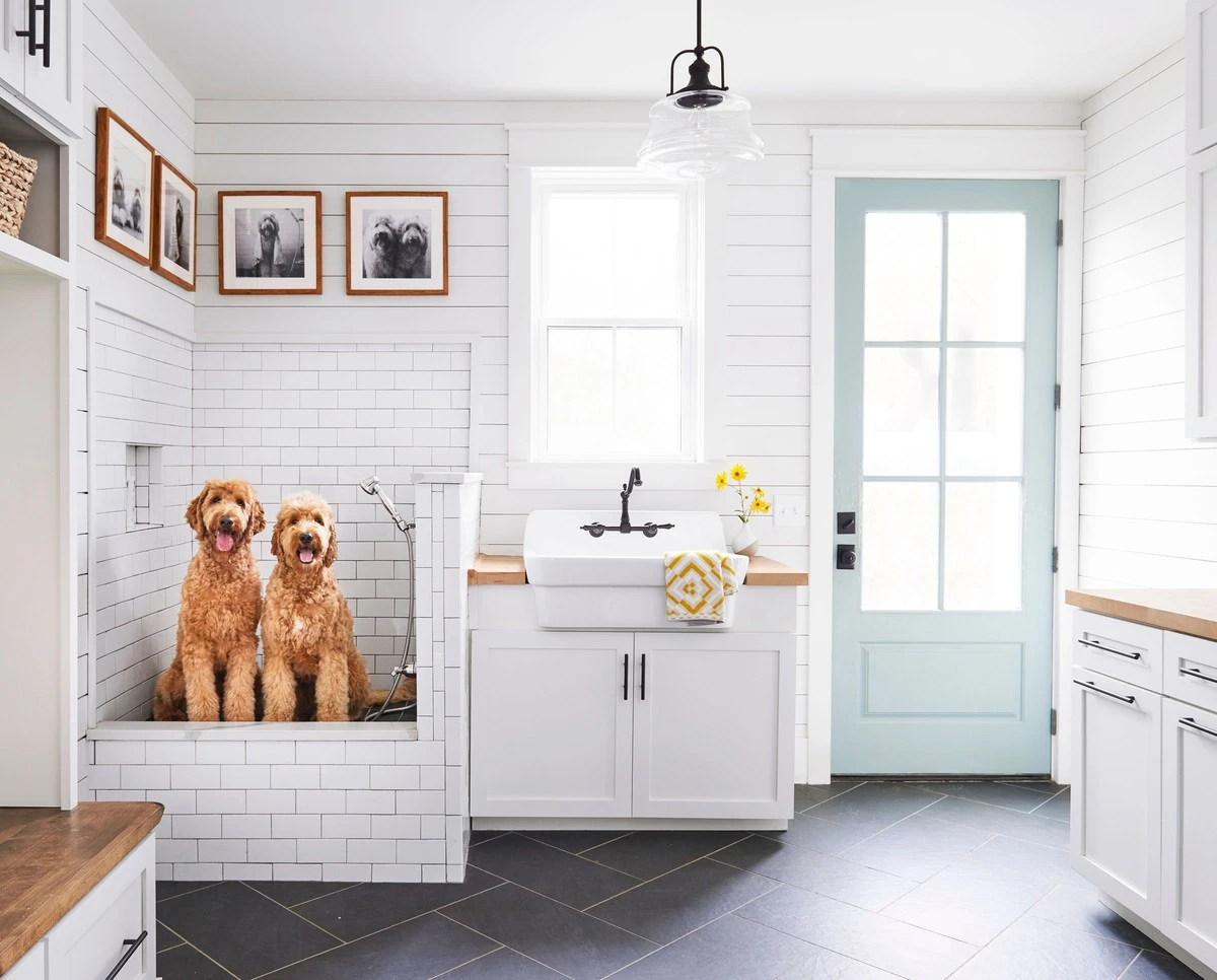 5 běžných čisticích chyb, které ohrožují vaše mazlíčky