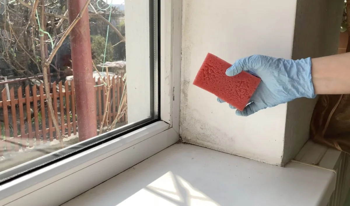Proč zkušení Češi dávají ocet do vody (poměr 2:1) místo drahé chemie na plíseň kolem oken