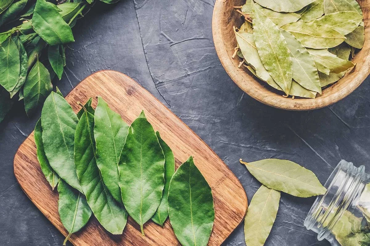 Proč zkušení kuchaři dávají bobkový list do mrazáku? Tajemství intenzivní chuti, o kterém se nemluví. - image 1