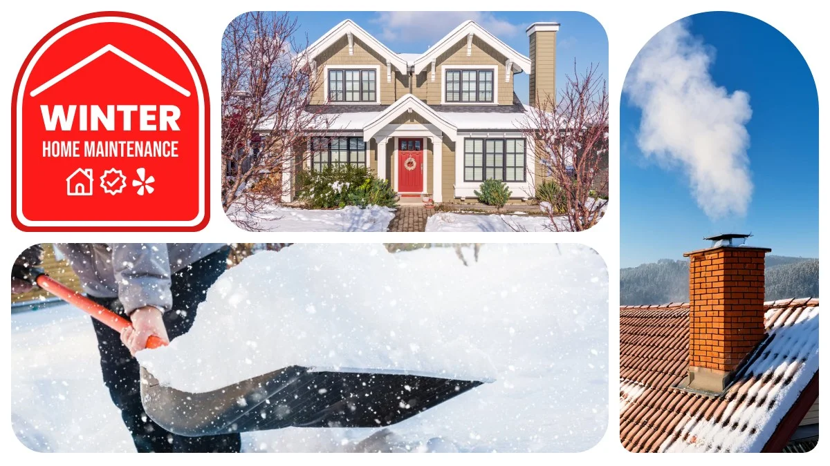 Proč zkušení majitelé domů barví plot v mrazu: Tři výsledky, které v létě nezískáte - image 2