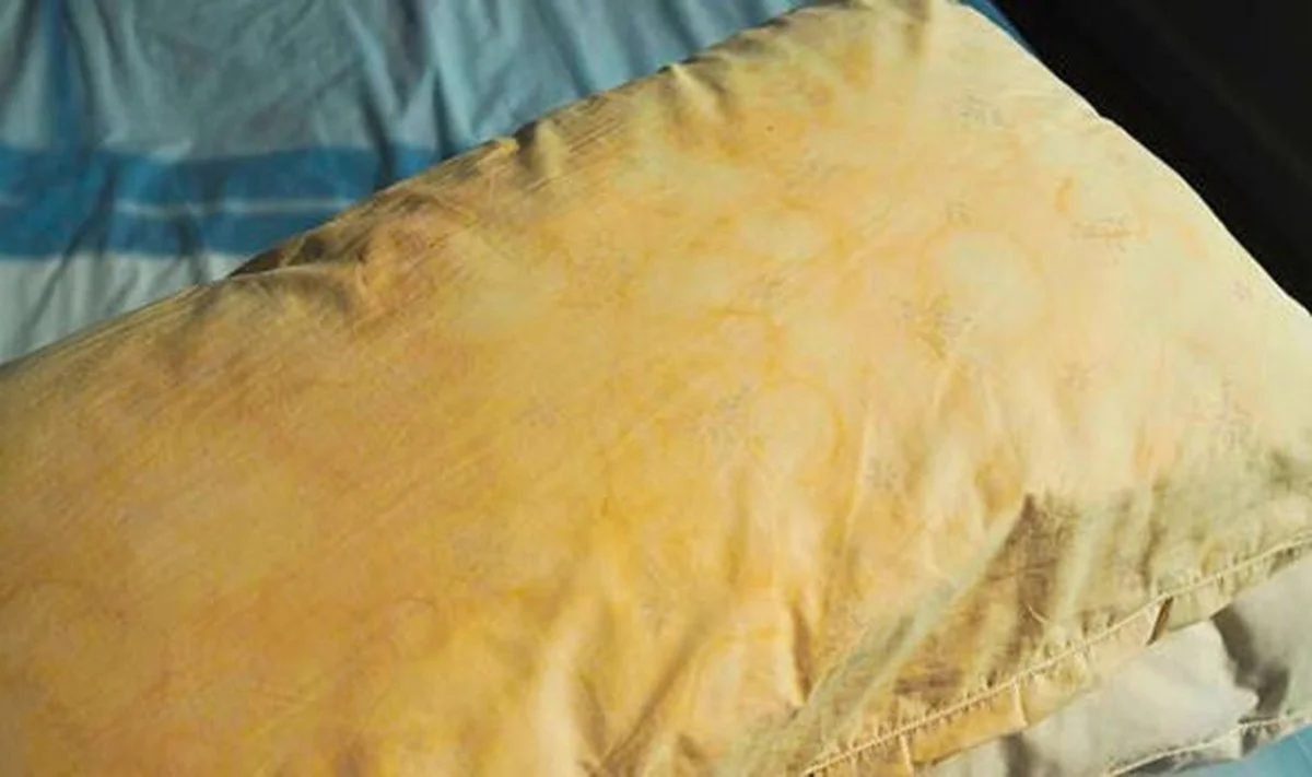 Proč zkušení hoteliéři nikdy neperou polštáře v pračce, i když jsou žluté - image 1