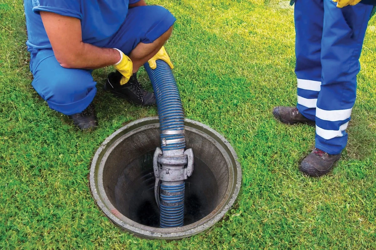 tippromajiteled-extra-1.webp Tip pro majitele domů: Jedna houba do septiku ročně zařídí rok bez zápachu a čištění - image 1