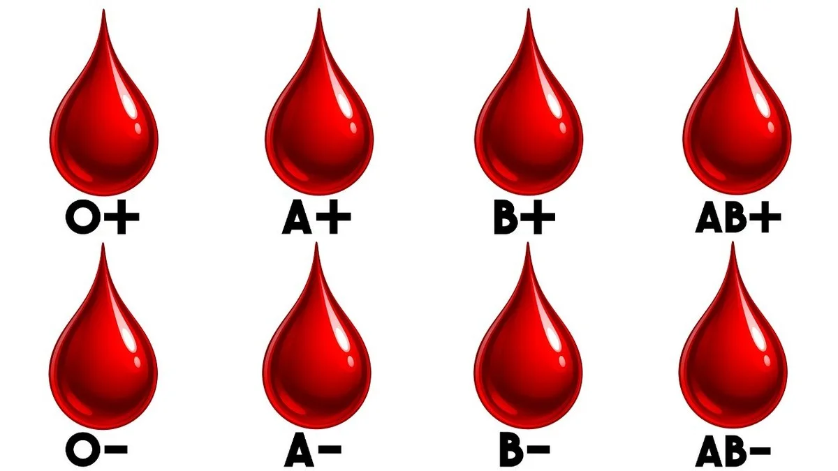 vedcikonecnepot-extra-2.webp Vědci konečně potvrdili: Krevní skupina 0 vás chrání, ale připravuje na nejhorší - image 2